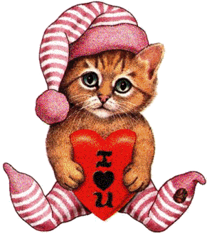 nonse