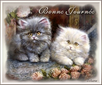 Bonne Journée